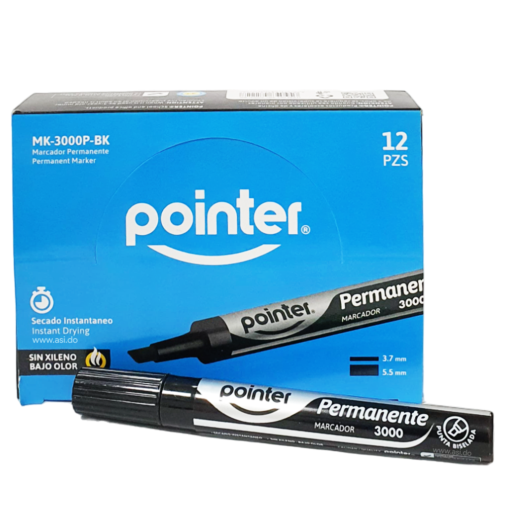 CAJITA MARCADOR PERMANENTE POINTER 12U