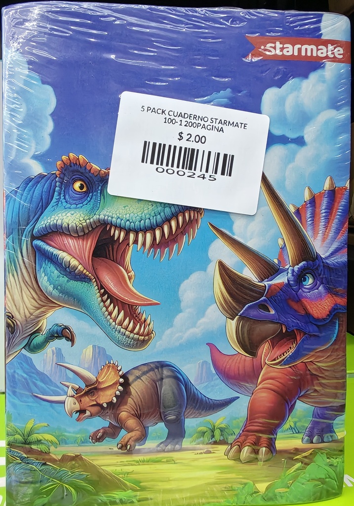 5 PACK CUADERNO STARMATE 100-1 200PAGINA