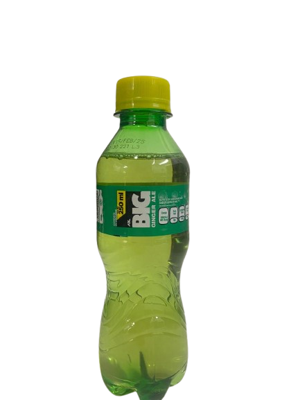 BIG GINGER ALE 360ML