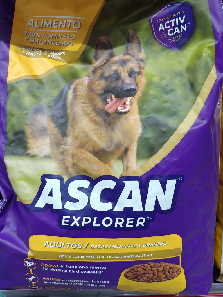 ASCAN EXPLORER 2KG