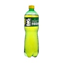 PROMO DUO BIG GINGER 1LT