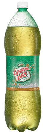 CANADA DRY GINGER ALE 2LT