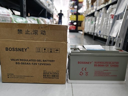 BATERIA GEL BOSSNEY BS-S65AH-12V