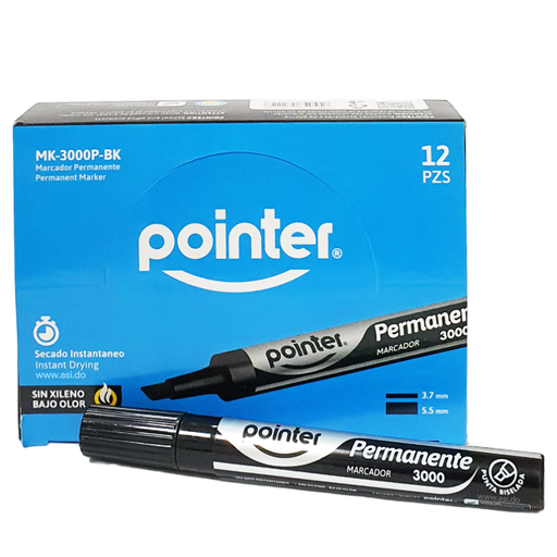 CAJITA MARCADOR PERMANENTE POINTER 12U