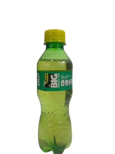 BIG GINGER ALE 360ML
