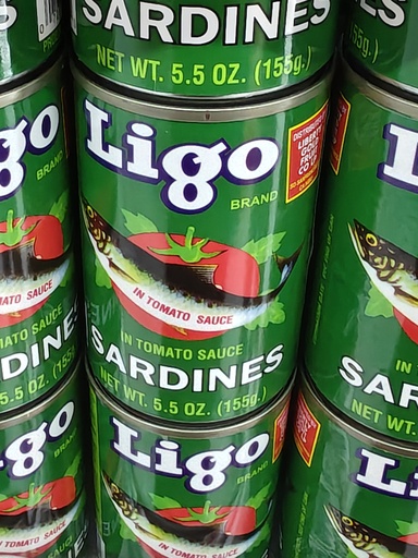 LIGO TOMATO SARDINA