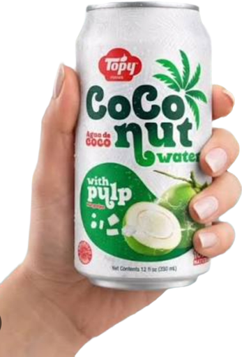 AGUA DE COCO CON PULPA TOPY 330ML
